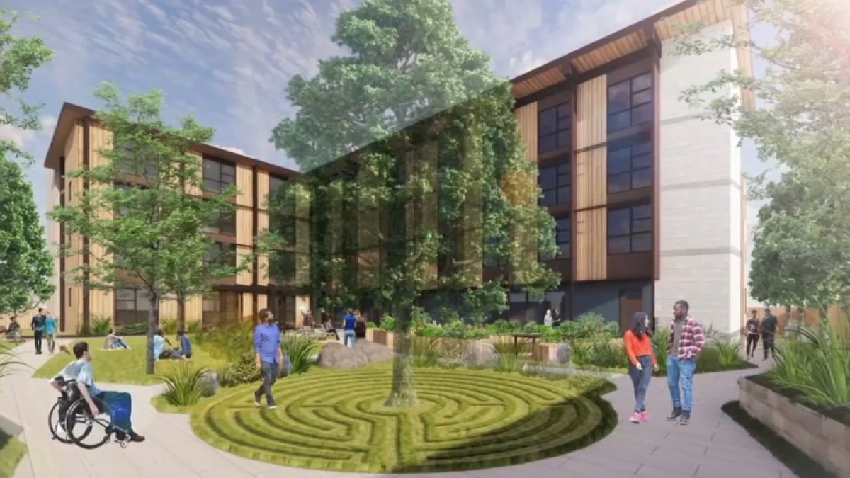 Construyen viviendas que tendrá con bajos costos de alquiler en Palo