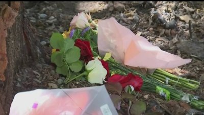 Policía: alta velocidad habría provocado accidente en el que murió una familia en Pleasanton