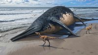 Increíble: niña descubre los restos que confirman una nueva especie de reptil marino gigante