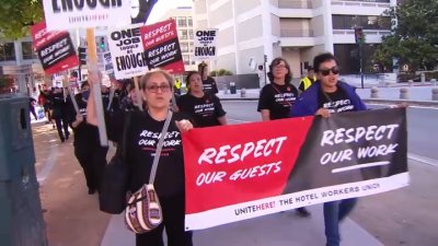 Trabajadores de hoteles exigen mejoras laborales en San José