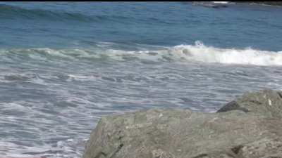 Lanzan campaña de alerta sobre los peligros presentes en las playas de Half Moon Bay