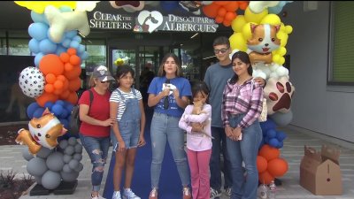 Desocupar los Albergues en Santa Clara Animal Services