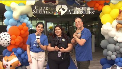 Mascotas encuentran hogares en el evento Desocupar los Albergues en Santa Clara Animal Services