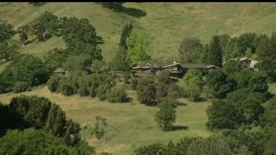 Altas temperaturas ponen en peligro  a las plantas