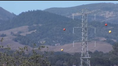 PG&E realiza apagones preventivos en el Área de la Bahía ante riesgo de incendios