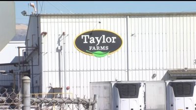 Compañía Taylor Farm en Salinas podría estar ligada al brote de E. Coli en McDonald´s