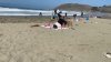 Residentes escapan de la ola de calor acudiendo a las playas de la Bahía