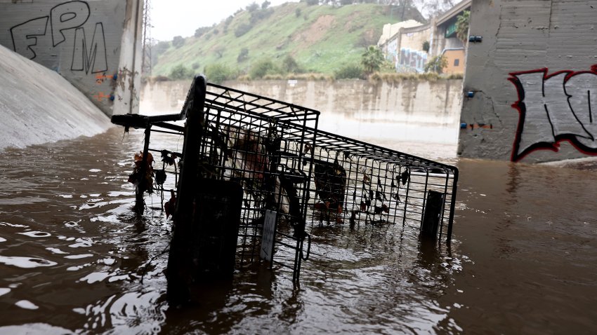 LOS ANGELES, CALIFORNIA – FEBRUARY 19: A shopping cart sits in an overflow area of the Los Angeles River, swollen by storm runoff, on February 19, 2024 in Los Angeles, California. Another atmospheric river storm is delivering heavy rains to California two weeks after a powerful storm brought widespread flooding, mudslides and power outages to parts of the state. (Photo by Mario Tama/Getty Images)