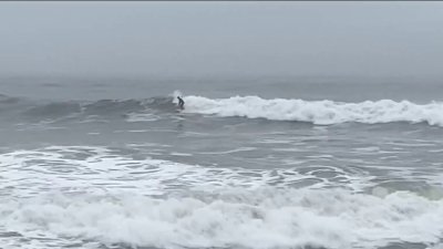 Advierten sobre condiciones peligrosas en costas del Área de la Bahía