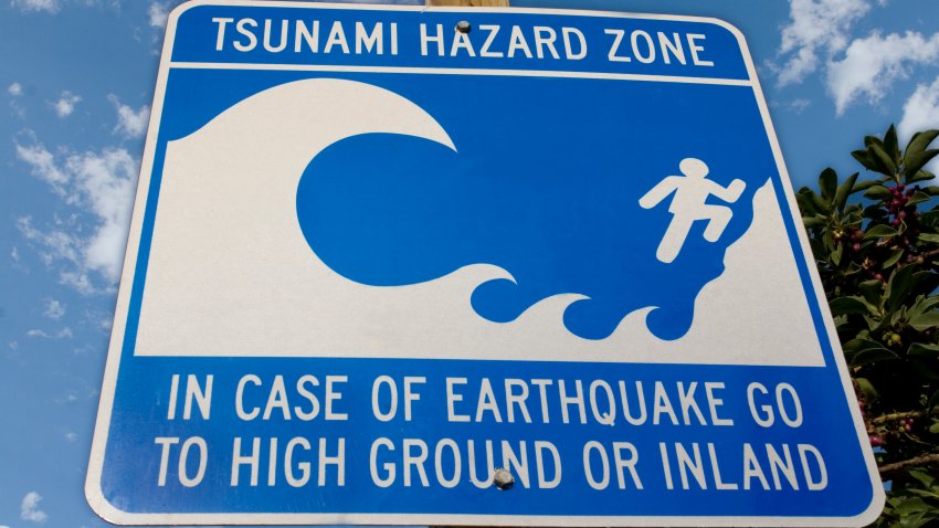 A tsunami warning sign at the beach.