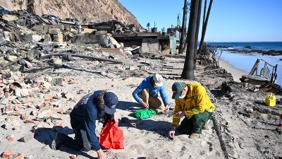 Incendios devastadores en Los Ángeles: cifra de muertos y cómo ayudar