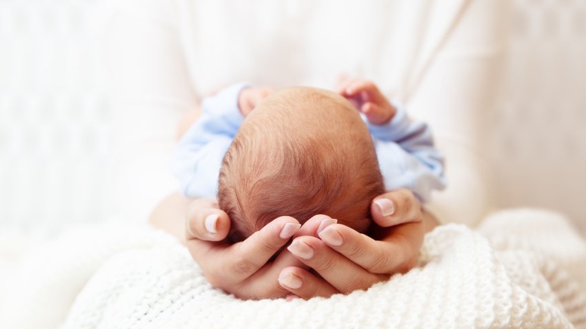 Baby Head in Mother Hands. Mum holding Newborn Boy lying on White Blanket. Infant Health Care and Development. Child Birth and Parents Love