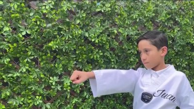 Pequeño hispano del Área de la Bahía resalta en el taekwondo