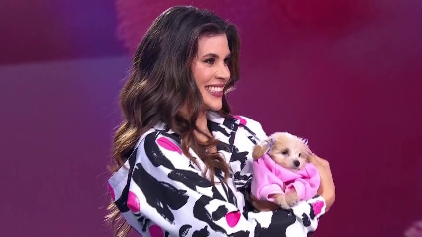 “Yo vine aquí a enfrentar mis miedos”: Yamilex carga un perrito por primera vez