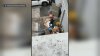 Cierran restaurante tras video que muestra a empleado tirando costillas congeladas al suelo en Milpitas