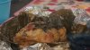 Tradiciones de mi tierra: Emprendedora nicaragüense mantiene vivas sus tradiciones