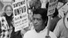 California evalúa cambiar el nombre del Día de César Chávez