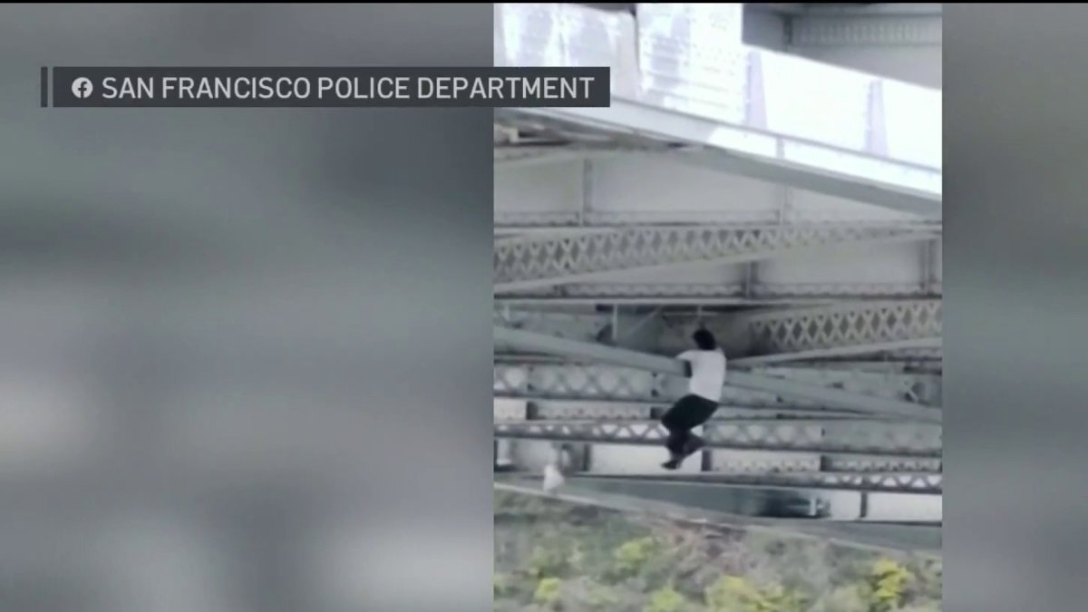 Suspect Found Hanging From Bay Bridge After San Francisco Police Chase and Stolen Vehicle Pursuit