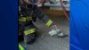 Bombero le administran oxígeno a una paloma afectada por un incendio en Oakland