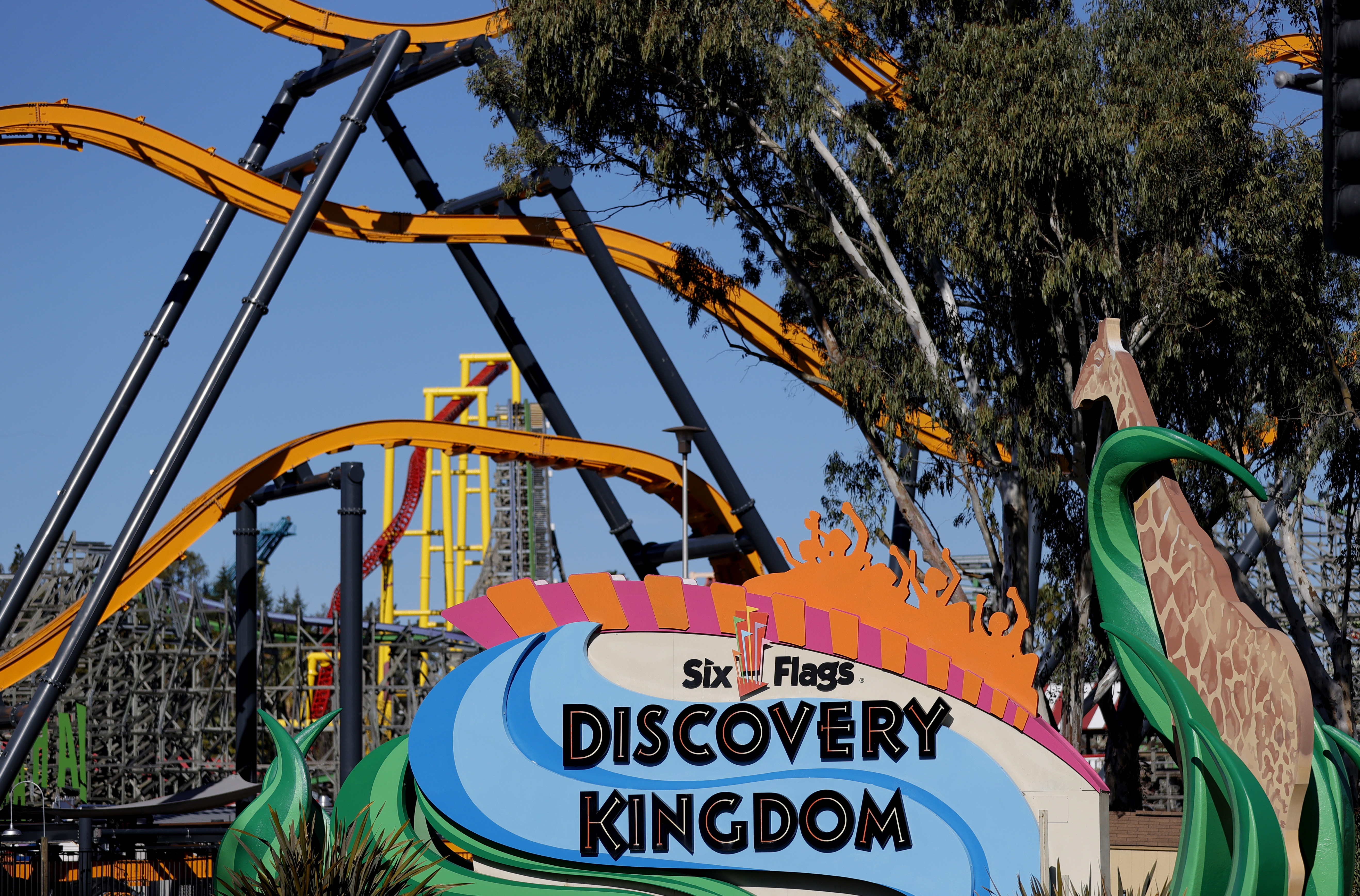 Sacrifican a delfín en cautiverio en Six Flags Discovery Kingdom en Vallejo