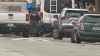 Capturan a un puma en el vecindario de Outer Sunset en San Francisco
