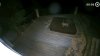 Preocupación ante presencia constante de coyotes en calles y patios de Willow Glen en San José