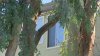 San José: perdió miles de dólares tras estafa de alquiler de apartamento publicado en Zillow