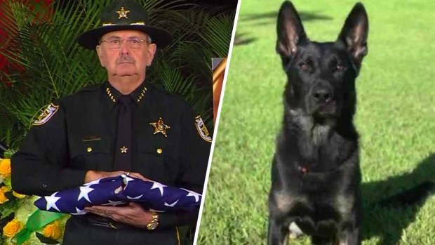Emotivo último adiós a "Cigo", el perro policía que dio su vida en Florida