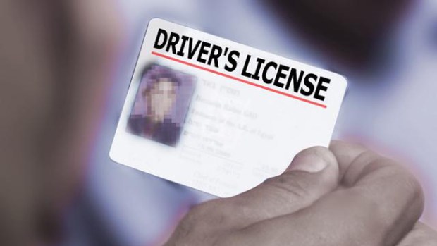 Video: Se intensifica lucha por licencias