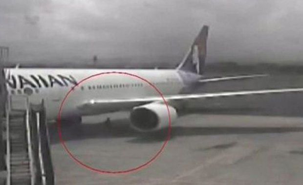 Video: Nuevas imágenes del polizón de Hawai