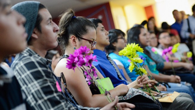7 consejos para ir a la San Mateo County Fair