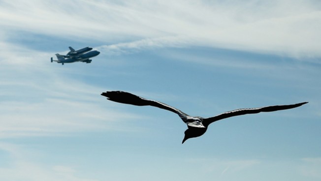 Endeavour hace historia
