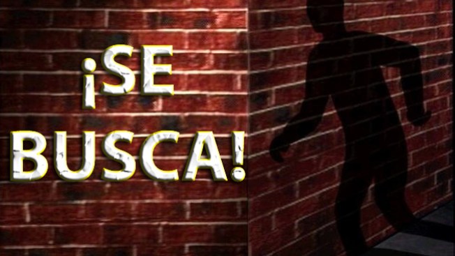 ¿La calidad del sueño puede afectar la memoria?