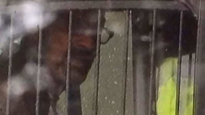 Tirador del centro judío era jefe del KKK